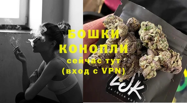 PSILOCYBIN Богородицк